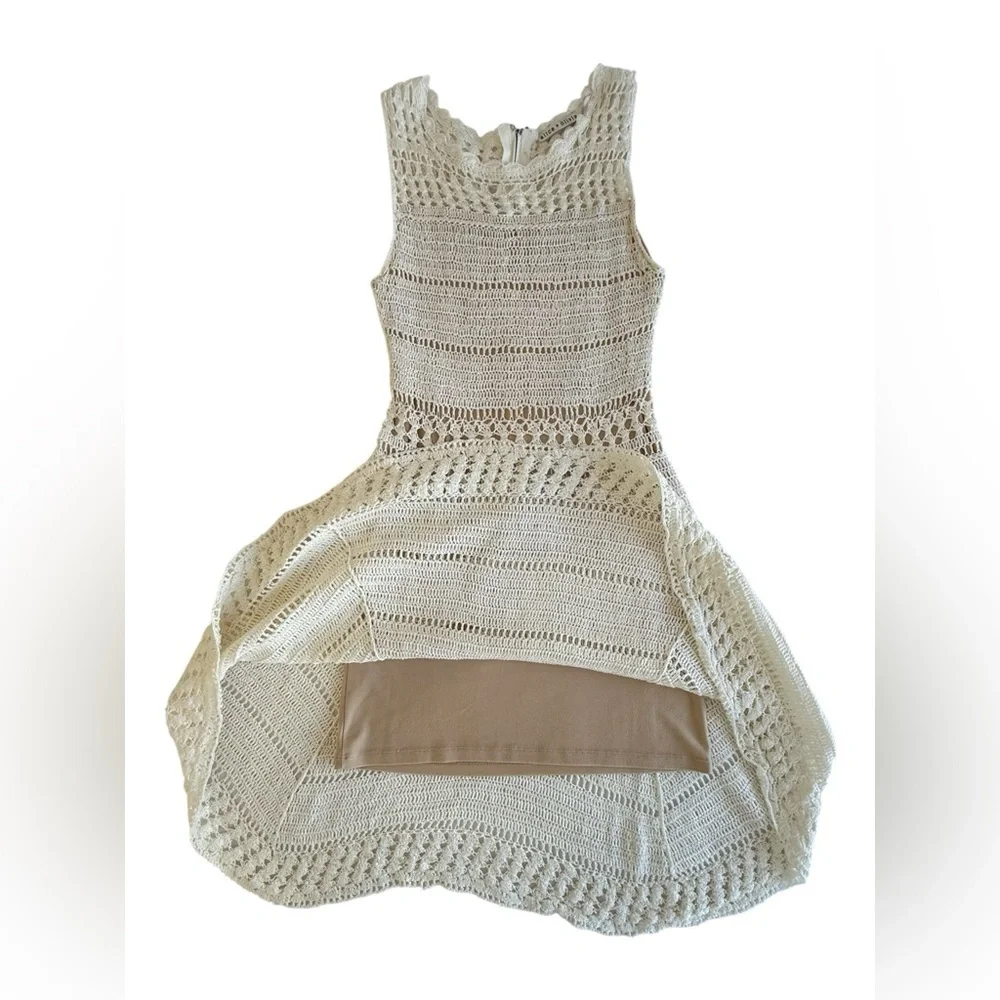 Alice + Olivia Noella Crochet Lace Dress S Ivory Cream Fit-and-Flare Above Knee - Picture 11 of 12